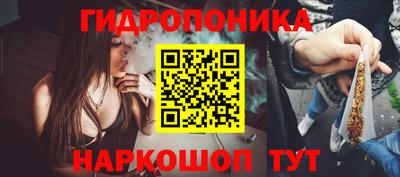 скорость Гатчина