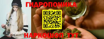 молекула духа Донской
