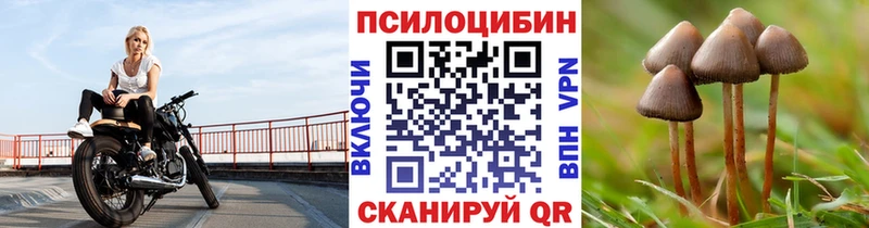 OMG зеркало  цены наркотик  Заволжье  Галлюциногенные грибы GOLDEN TEACHER 