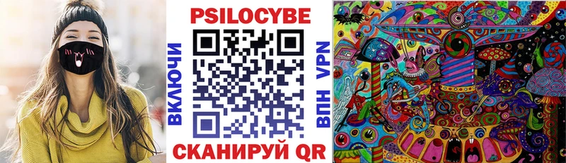 Псилоцибиновые грибы Psilocybine cubensis Заволжье
