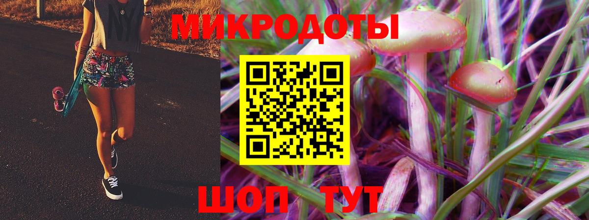 Псилоцибиновые грибы прущие грибы  Заволжье 