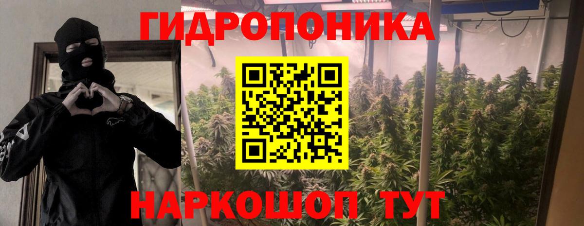 Марихуана план Заволжье